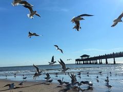 -北戴河转鱼·炒螃蟹酱餐厅