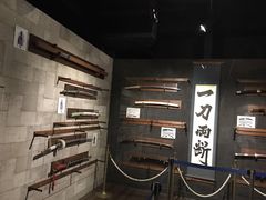 -东京塔海贼王主题公园
