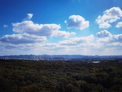 -灵谷景区
