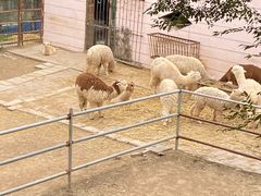 -青藏高原野生动物园