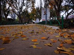 景点-白鹭洲公园