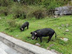 -硗碛藏寨·神木垒景区