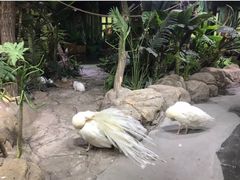 -海合安武汉极地海洋公园