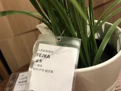 -IKEA宜家家居(南京商场)