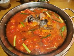 酸汤江团-新凯里酸汤鱼(飞山街店)