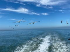-海驴岛(荣成市)
