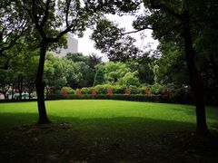 -上海交通大学医学院附属瑞金医院(总院)