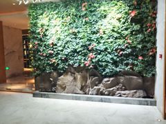 -浅深(北京北四环精品店)