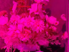 -方糖KTV-PLUS(世茂广场店)