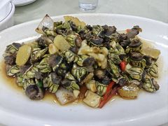 -梅子大排档