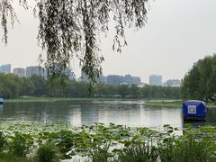 -WhaleSports户外水上运动俱乐部(朝阳公园店)