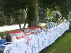 -卓悦童国际幼儿园