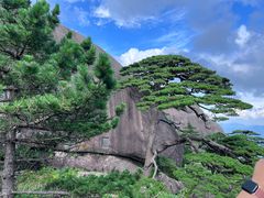 -黄山风景区