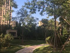 -五环公园