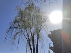 -三里河公园