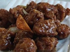 -宝发园名菜馆