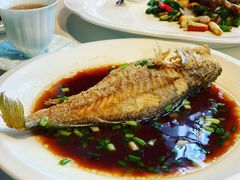 -皇朝会.经典传统粤菜(外滩店)