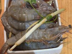 -草原塞蛮羊火锅城(港湾店)