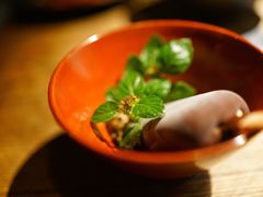 -毛辣果·酸(OHA复兴西路店)