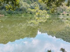 -广州市帽峰山景区