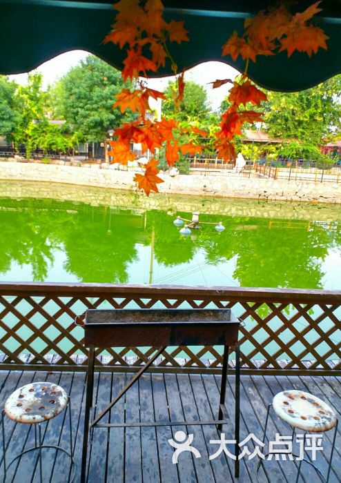 上庄蘑菇园图片 - 第7张