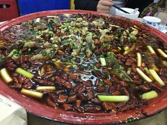 -东吴霸王兔(松青路店)