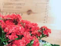 -奥斯特牛排馆(圣母百花大教堂)