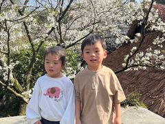 -中国茶叶博物馆(双峰馆区)