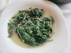 上汤枸杞叶-食神海鲜城(唐家店)