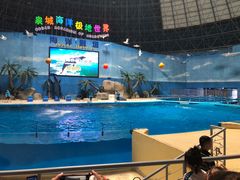 -泉城欧乐堡海洋极地世界