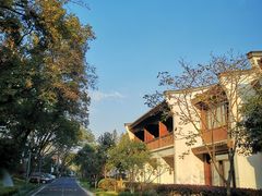 -杭州雅谷泉山庄酒店-餐厅