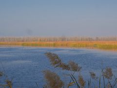 -野鸭湖国家湿地公园