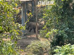 -野象谷景区