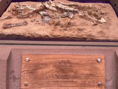 -陕西自然博物馆