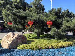 -北陵公园