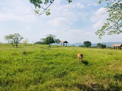 -良渚古城遗址公园