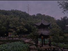 -忠山公园