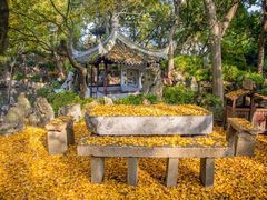 -绮园景区
