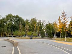 -庆丰包子铺(天通苑店)