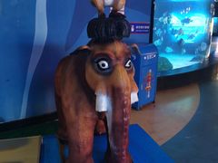 -烟台海昌鲸鲨海洋公园