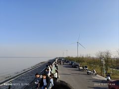 -上海长兴岛郊野公园