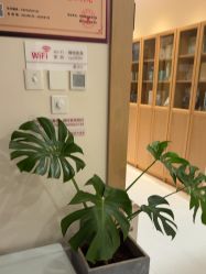 -臻悦医疗美容整形门诊部