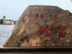 -珍宝岛