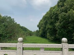 -同里国家湿地公园