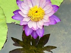 -云溪植物园