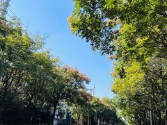 -星伦多自助料理·涮烤一体(江桥万达店)