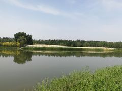 -东郊湿地公园