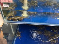 -阳澄湖大闸蟹·琼灵阁牌品牌连锁(吴中总店)