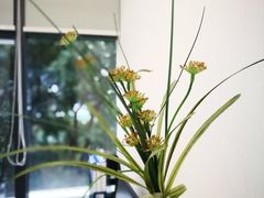 -泰康拜博口腔(世博园乐尔店)