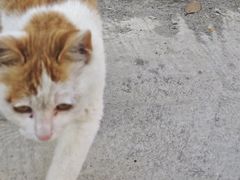 -合肥野生动物园